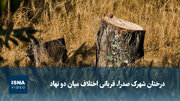 ویدیو/ درختان شهرک صدرا قربانی اختلاف میان دو نهاد