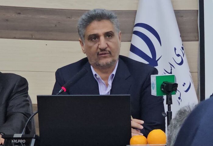 زراعت چوب بدون کارشناسی، اراضی مرغوب و امنیت غذایی را تهدید می‌کند
