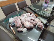 کشف لاشه کل و بز وحشی و سلاح از مخفیگاه شکارچی متخلف در رودبار