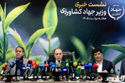 از واردات گوشت مرغ بی‌نیاز شدیم/ اصلاحات درباره بنزین تدریجی خواهد بود