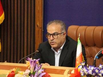 توسعه کشاورزی ایلام باید بر پایه زنجیره ارزش و برنامه‌ریزی باشد