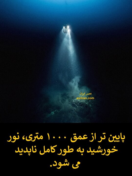 ۱۰ واقعیت ترسناک و تکان دهنده از اقیانوس‌ها