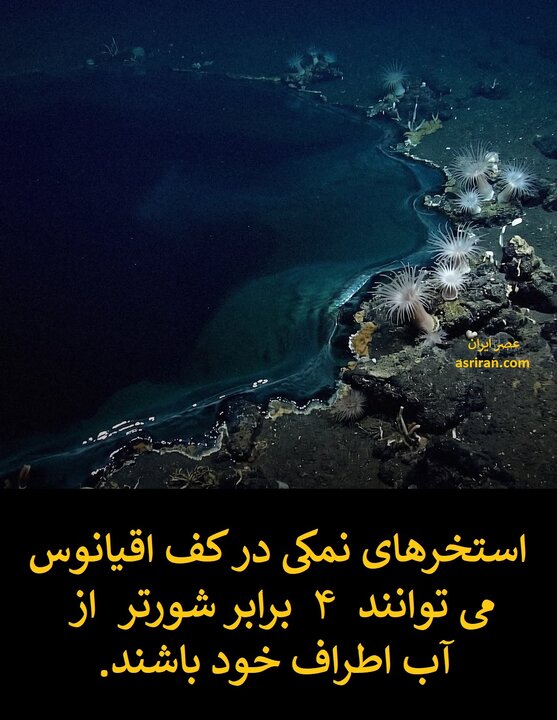 ۱۰ واقعیت ترسناک و تکان دهنده از اقیانوس‌ها