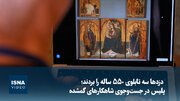 ویدیو/ دزدها سه تابلوی ۵۵۰ ساله را بردند؛ پلیس در جست‌وجوی شاهکارهای گمشده