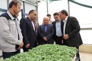 تأکید استاندار بر جهش بهره‌وری، تحول کشاورزی و مسئولیت اجتماعی در مازندران