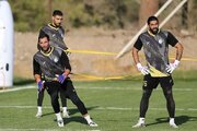 واکنش فرعباسی به بازگشت آدان: خسته نباشید!