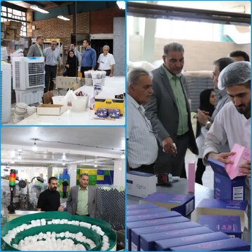مدیرعامل شرکت شهرک‌های صنعتی لرستان: مشکلات واحدهای تولیدی باید میدانی بررسی و پیگیری شود