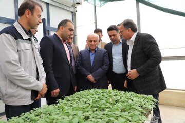 تأکید استاندار بر جهش بهره‌وری، تحول کشاورزی و مسئولیت اجتماعی در مازندران