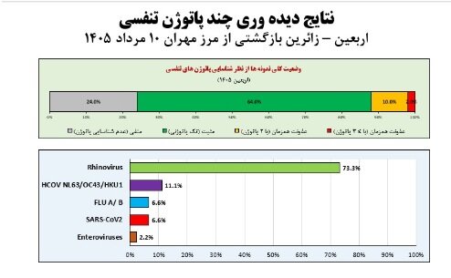 وضعیت آنفلوآنزا در هفته بیست‌ویکم سال / دیده‌وری تقویت‌شده عفونت‌های حاد تنفسی در هفت مرز