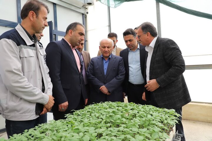 تأکید استاندار بر جهش بهره‌وری، تحول کشاورزی و مسئولیت اجتماعی در مازندران