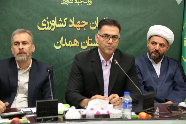 بیش‌بود تولید مرغ در همدان/ ۲۷۹ طرح در حال احداث در حوزه صنایع تبدیلی