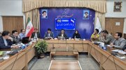 صدور روزانه یک پروانه تأسیس گلخانه در رزن