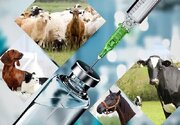محکومیت ۴ میلیارد و ۷۶۱ میلیون ریالی داروفروش متقلب در نهاوند