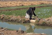 وجود ۱۲۰۰۰ کیلومتر شبکه آبیاری سنتی در خراسان شمالی