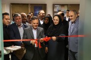 استاندار زنجان: دبیرخانه ملی جوانان «NEET» باید به حل یک مسئله ملی کمک کند