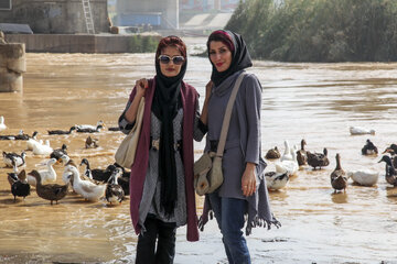 از من عکس بگیر