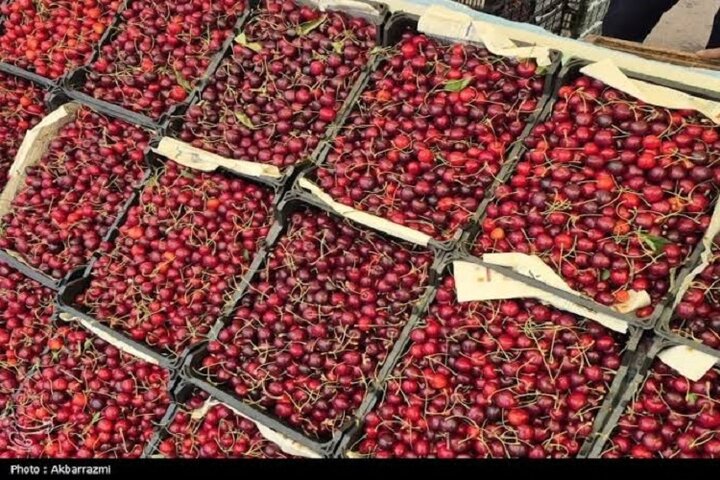 فرماندار اشنویه: کشاورزی ده‌ها هزار میلیارد تومان گردش مالی برای شهرستان دارد