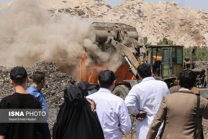 ممنوعیت انبارهای ضایعات در محدوده شهری/ جمع‌آوری سالانه ۱۶ هزار قلاده سگ از معابر مشهد
