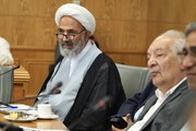 پژمانفر: سازوکار توزیع تسهیلات به اندازه کافی شفاف نیست