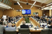 رئیس مرکز ملی تامین مالی وزارت اقتصاد: ظرفیت صندوق‌های ضمانت توسعه می‌یابد