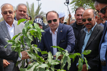 سفر وزیر جهاد کشاورزی به هرمزگان - افتتاح و بازدید از طرح‌های بخش کشاورزی
