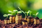 پرداخت ۳۳ میلیارد تومان تسهیلات اضطراری به بخش کشاورزی خوزستان