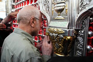 رئیس مجلس حرم امام علی (ع) را زیارت کرد