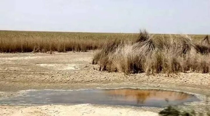 خشک شدن تالاب‌ها؛ زنگ خطر ریزگردها و برهم خوردن تعادل اکوسیستم