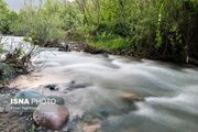 پیگیری قضایی برای رفع تنش آبی رودخانه «علاء» 