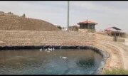 زیرساخت‌های طبیعی و گردشگری دراک شیراز تقویت می‌شود