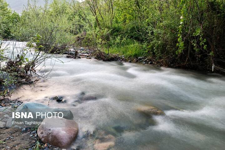 پیگیری قضایی برای رفع تنش آبی رودخانه «علاء» 