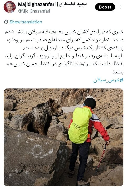 تکذیب کشته شدن خرس سبلان