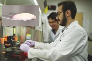 پذیرش پژوهشگر پسادکتری در دانشگاه صنعتی امیرکبیر