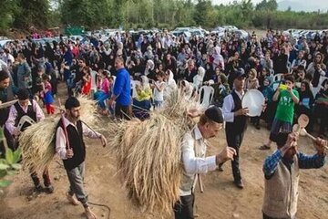 جشن خرمن از هویت اصیل خود فاصله گرفته است
