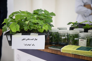 سفر معاون علمی رئیس‌جمهور به کردستان