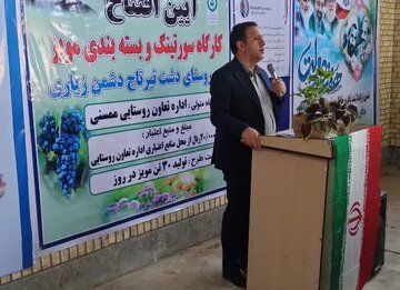 معاون استاندار: صنایع تبدیلی به رونق اقتصادی مناطق کشاورزی فارس کمک می‌کند