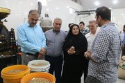 واحد تولیدی فرآورده‌های قهوه در دشتستان افتتاح شد