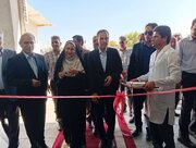 افتتاح کارخانه کارتن‌سازی جیرفت با حضور معاون وزیر جهاد کشاورزی