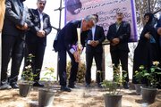 آغاز عملیات اجرایی دو پروژه بهداشتی در زارچ با اعتبار ۹۵ میلیارد ریال