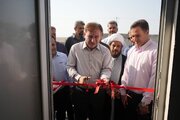 مرکز پرورش کرم نرییس نانتیا در تنگستان افتتاح شد