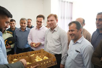 کارخانه جوجه‌کشی در تنگستان افتتاح شد