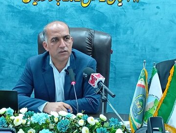 افتتاح ۱۲ پروژه منابع طبیعی جنوب کرمان در هفته دولت/ تأکید بر کاشت گونه‌های بومی