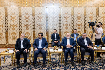 دیدار رییس شورای عالی قضایی عراق با رییس مجلس شورای اسلامی