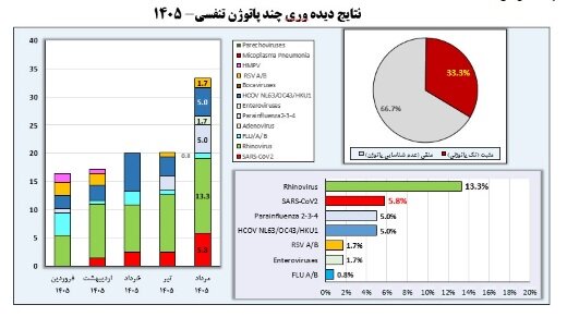 وضعیت آنفلوآنزا در هفته بیست‌ودوم سال/ دو استان بالاتر از آستانه هشدار