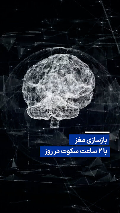 ویدیو/ بازسازی مغز با ۲ ساعت سکوت در روز