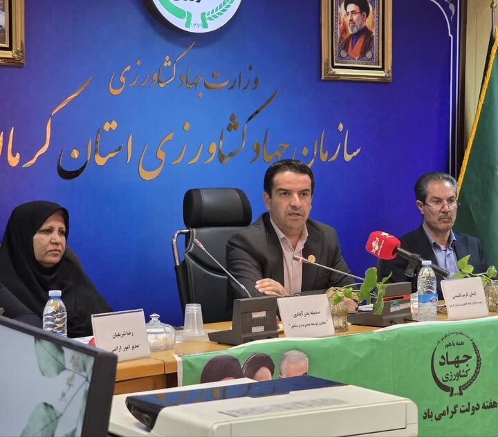 از وضعیت ذخایر استراتژیک تا میزان تولید گندم و مبارزه با آفات در استان کرمان