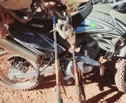 ۹ قبضه سلاح در بوانات کشف و ۹ متهم دستگیر شدند