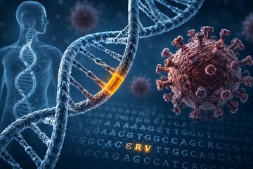 ردپای ویروس‌های کهن در DNA انسان