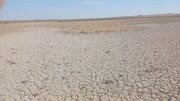 احیای مسیر انتقال آب رودخانه شور دیرین به تالاب بندعلی‌خان آغاز شد