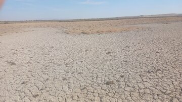احیای مسیر انتقال آب رودخانه شور دیرین به تالاب بندعلی‌خان آغاز شد